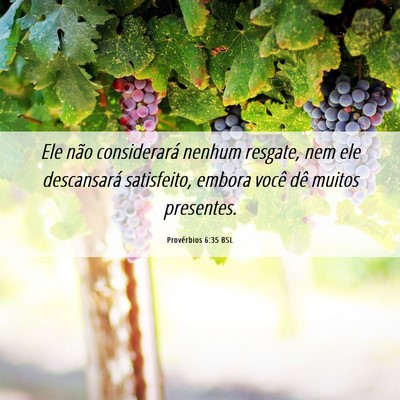 Picture 06 - Provérbios 6:35 BSL - Ele não considerará nenhum resgate, nem ele - Bible Verse Picture