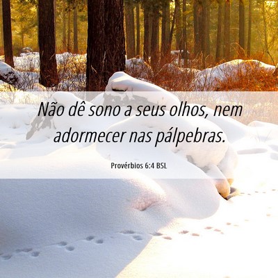 Picture 06 - Provérbios 6:4 BSL - Não dê sono a seus olhos, nem adormecer nas - Bible Verse Picture