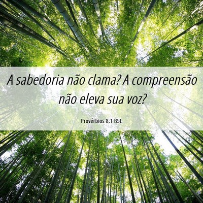 Picture 06 - Provérbios 8:1 BSL - A sabedoria não clama? A compreensão não eleva - Bible Verse Picture