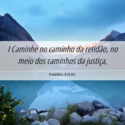Picture 06 - Provérbios 8:20 BSL - I Caminhe no caminho da retidão, no meio dos - Bible Verse Picture