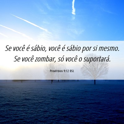 Picture 06 - Provérbios 9:12 BSL - Se você é sábio, você é sábio por si mesmo. - Bible Verse Picture