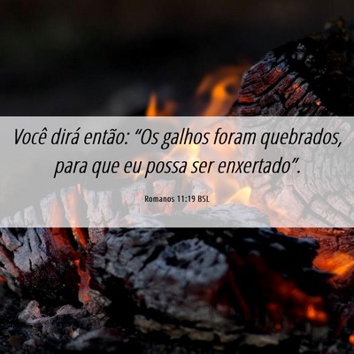 Picture 06 - Romanos 11:19 BSL - Você dirá então: “Os galhos foram quebrados, - Bible Verse Picture