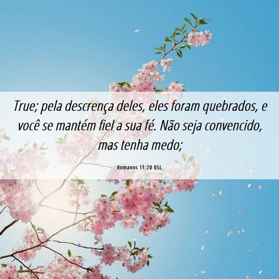 Picture 06 - Romanos 11:20 BSL - True; pela descrença deles, eles foram - Bible Verse Picture