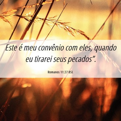 Picture 06 - Romanos 11:27 BSL - Este é meu convênio com eles, quando eu tirarei - Bible Verse Picture