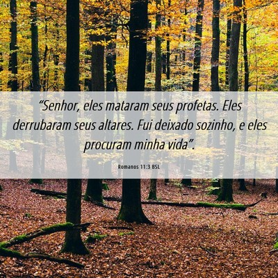 Picture 06 - Romanos 11:3 BSL - “Senhor, eles mataram seus profetas. Eles - Bible Verse Picture