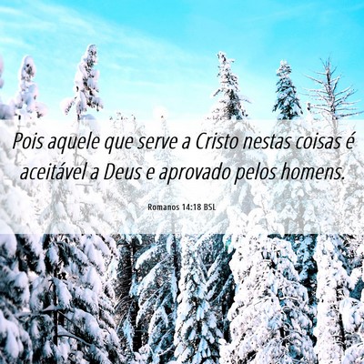 Picture 06 - Romanos 14:18 BSL - Pois aquele que serve a Cristo nestas coisas é - Bible Verse Picture