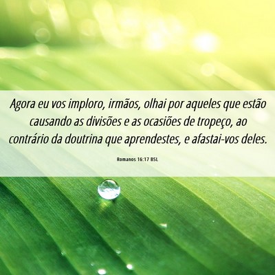Picture 06 - Romanos 16:17 BSL - Agora eu vos imploro, irmãos, olhai por aqueles - Bible Verse Picture