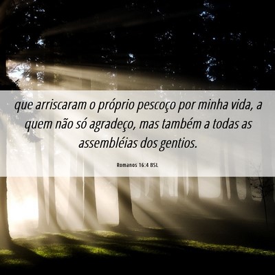 Picture 06 - Romanos 16:4 BSL - que arriscaram o próprio pescoço por minha - Bible Verse Picture