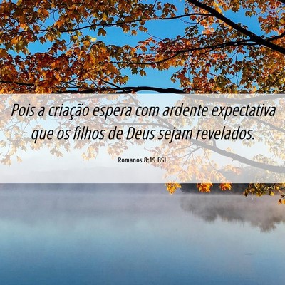 Picture 06 - Romanos 8:19 BSL - Pois a criação espera com ardente expectativa - Bible Verse Picture