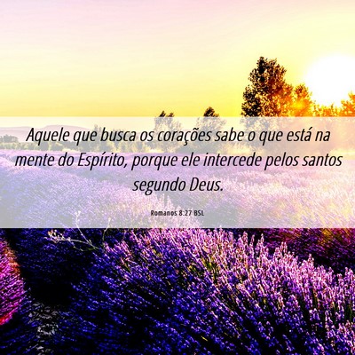Picture 06 - Romanos 8:27 BSL - Aquele que busca os corações sabe o que está - Bible Verse Picture
