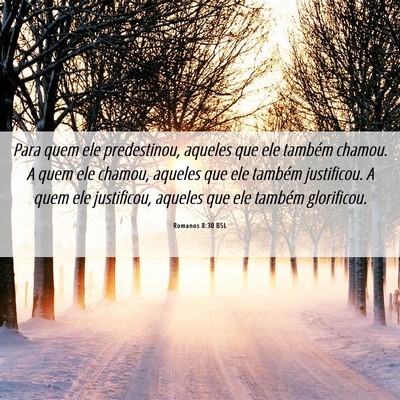 Picture 06 - Romanos 8:30 BSL - Para quem ele predestinou, aqueles que ele - Bible Verse Picture
