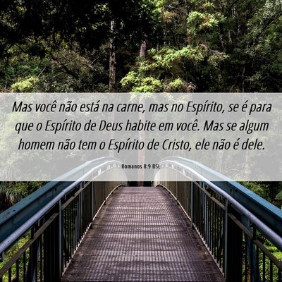 Picture 06 - Romanos 8:9 BSL - Mas você não está na carne, mas no Espírito, - Bible Verse Picture
