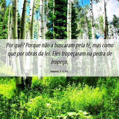 Picture 06 - Romanos 9:32 BSL - Por quê? Porque não a buscaram pela fé, mas - Bible Verse Picture