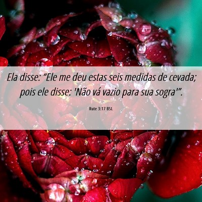 Picture 06 - Rute 3:17 BSL - Ela disse: “Ele me deu estas seis medidas de - Bible Verse Picture