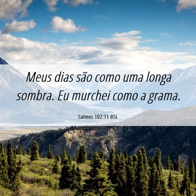 Picture 06 - Salmos 102:11 BSL - Meus dias são como uma longa sombra. Eu murchei - Bible Verse Picture