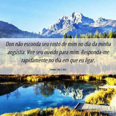 Picture 06 - Salmos 102:2 BSL - Don não esconda seu rosto de mim no dia da minha - Bible Verse Picture