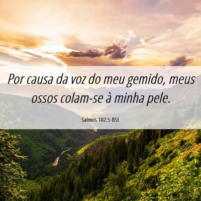 Picture 06 - Salmos 102:5 BSL - Por causa da voz do meu gemido, meus ossos - Bible Verse Picture
