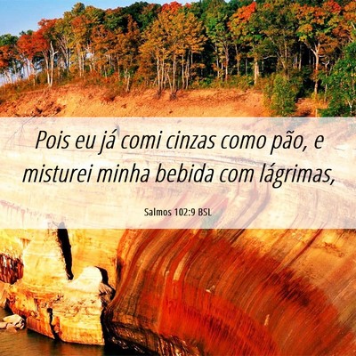 Picture 06 - Salmos 102:9 BSL - Pois eu já comi cinzas como pão, e misturei - Bible Verse Picture