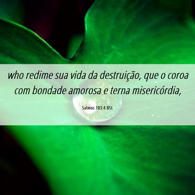 Picture 06 - Salmos 103:4 BSL - who redime sua vida da destruição, que o coroa - Bible Verse Picture