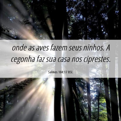 Picture 06 - Salmos 104:17 BSL - onde as aves fazem seus ninhos. A cegonha faz sua - Bible Verse Picture