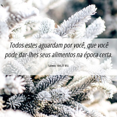 Picture 06 - Salmos 104:27 BSL - Todos estes aguardam por você, que você pode - Bible Verse Picture
