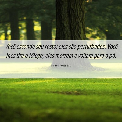 Picture 06 - Salmos 104:29 BSL - Você esconde seu rosto; eles são perturbados. - Bible Verse Picture