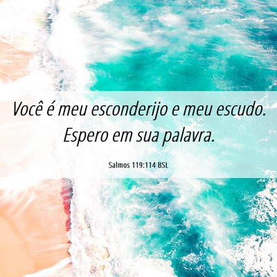 Picture 06 - Salmos 119:114 BSL - Você é meu esconderijo e meu escudo. Espero em - Bible Verse Picture