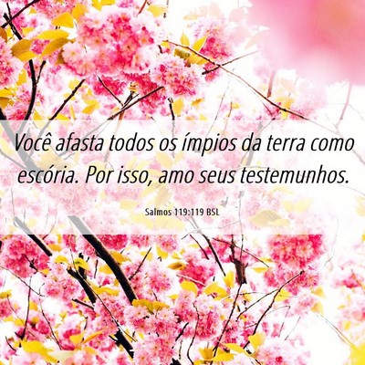 Picture 06 - Salmos 119:119 BSL - Você afasta todos os ímpios da terra como - Bible Verse Picture