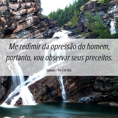 Picture 06 - Salmos 119:134 BSL - Me redimir da opressão do homem, portanto, vou - Bible Verse Picture
