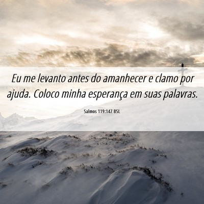 Picture 06 - Salmos 119:147 BSL - Eu me levanto antes do amanhecer e clamo por - Bible Verse Picture