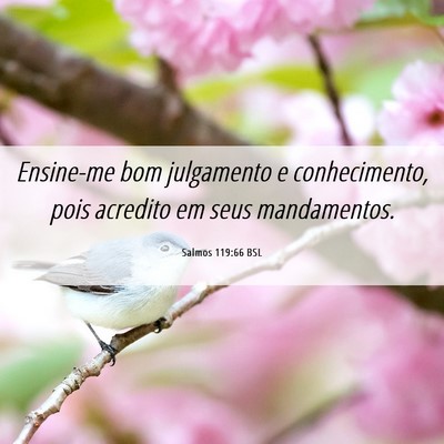 Picture 06 - Salmos 119:66 BSL - Ensine-me bom julgamento e conhecimento, pois - Bible Verse Picture
