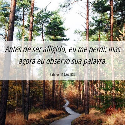 Picture 06 - Salmos 119:67 BSL - Antes de ser afligido, eu me perdi; mas agora eu - Bible Verse Picture