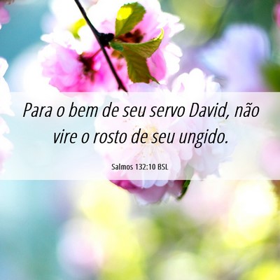 Picture 06 - Salmos 132:10 BSL - Para o bem de seu servo David, não vire o rosto - Bible Verse Picture