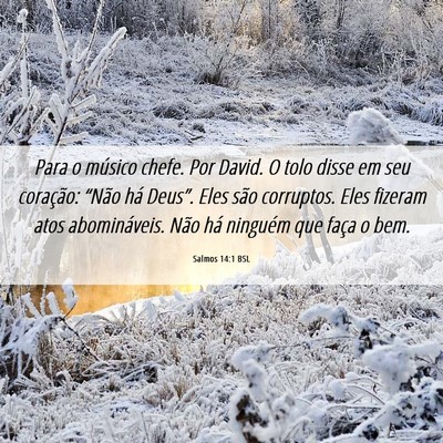 Picture 06 - Salmos 14:1 BSL - Para o músico chefe. Por David. O tolo disse em - Bible Verse Picture