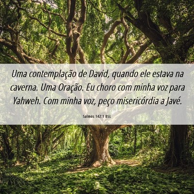 Picture 06 - Salmos 142:1 BSL - Uma contemplação de David, quando ele estava na - Bible Verse Picture