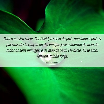 Picture 06 - Salmos 18:1 BSL - Para o músico chefe. Por David, o servo de - Bible Verse Picture
