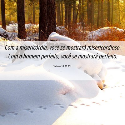 Picture 06 - Salmos 18:25 BSL - Com a misericórdia, você se mostrará - Bible Verse Picture