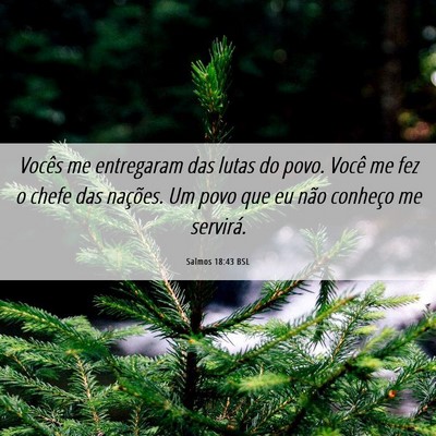 Picture 06 - Salmos 18:43 BSL - Vocês me entregaram das lutas do povo. Você me - Bible Verse Picture
