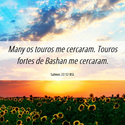 Picture 06 - Salmos 22:12 BSL - Many os touros me cercaram. Touros fortes de - Bible Verse Picture