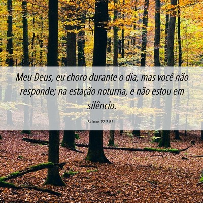 Picture 06 - Salmos 22:2 BSL - Meu Deus, eu choro durante o dia, mas você não - Bible Verse Picture