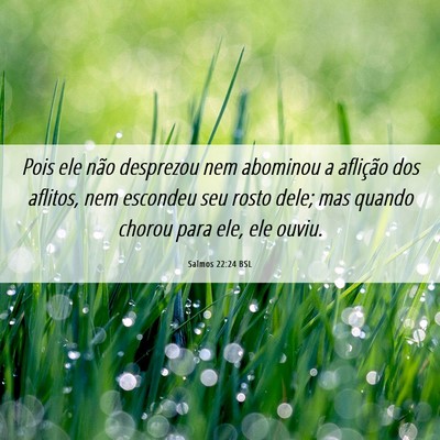 Picture 06 - Salmos 22:24 BSL - Pois ele não desprezou nem abominou a aflição - Bible Verse Picture