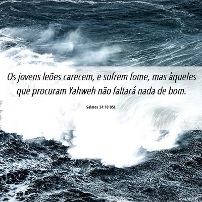 Picture 06 - Salmos 34:10 BSL - Os jovens leões carecem, e sofrem fome, mas - Bible Verse Picture