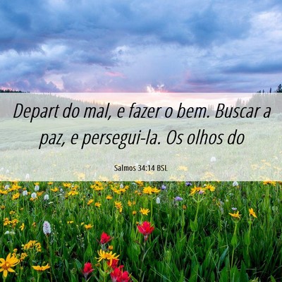 Picture 06 - Salmos 34:14 BSL - Depart do mal, e fazer o bem. Buscar a paz, e - Bible Verse Picture