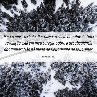 Picture 06 - Salmos 36:1 BSL - Para o músico chefe. Por David, o servo de - Bible Verse Picture
