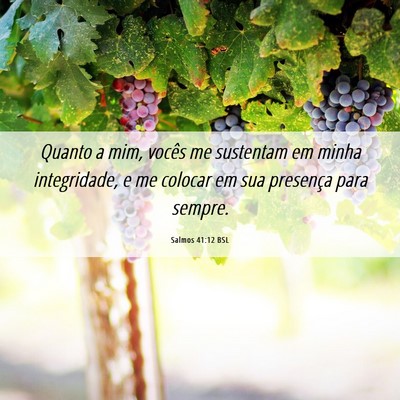 Picture 06 - Salmos 41:12 BSL - Quanto a mim, vocês me sustentam em minha - Bible Verse Picture