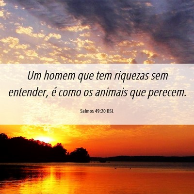 Picture 06 - Salmos 49:20 BSL - Um homem que tem riquezas sem entender, é como - Bible Verse Picture