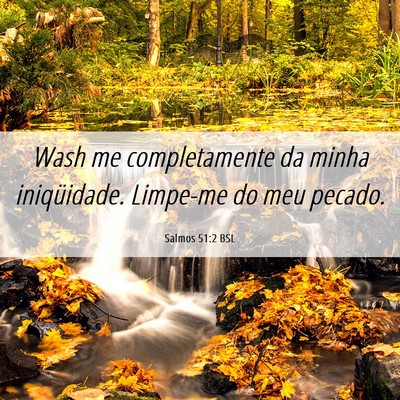 Picture 06 - Salmos 51:2 BSL - Wash me completamente da minha iniqüidade. - Bible Verse Picture