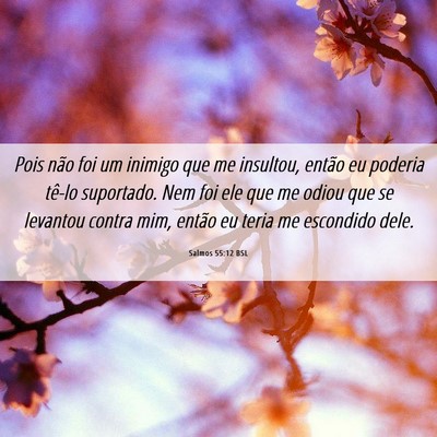 Picture 06 - Salmos 55:12 BSL - Pois não foi um inimigo que me insultou, então - Bible Verse Picture