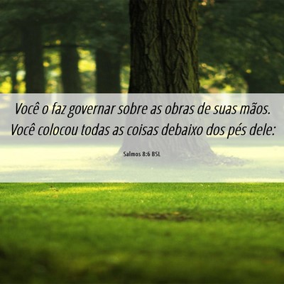 Picture 06 - Salmos 8:6 BSL - Você o faz governar sobre as obras de suas - Bible Verse Picture