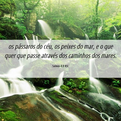 Picture 06 - Salmos 8:8 BSL - os pássaros do céu, os peixes do mar, e o que - Bible Verse Picture